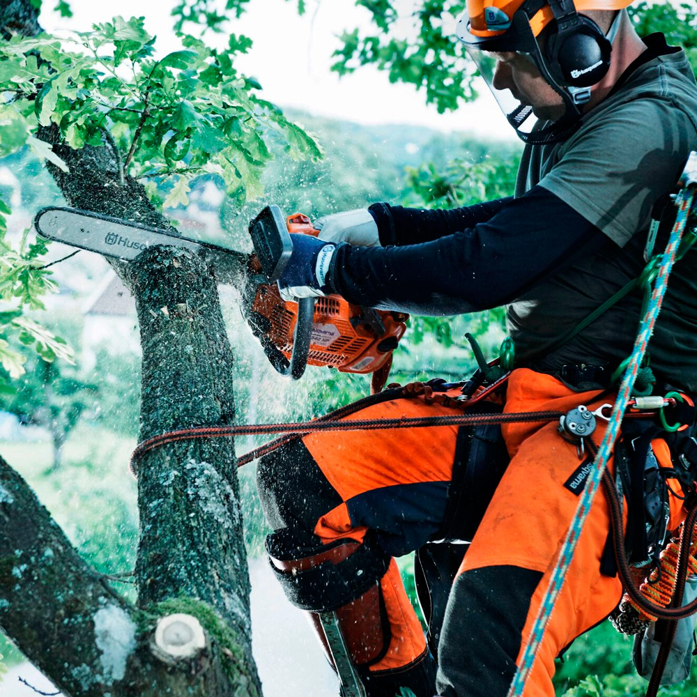 Бензопила Husqvarna T540 XP II (967 28 75-12)