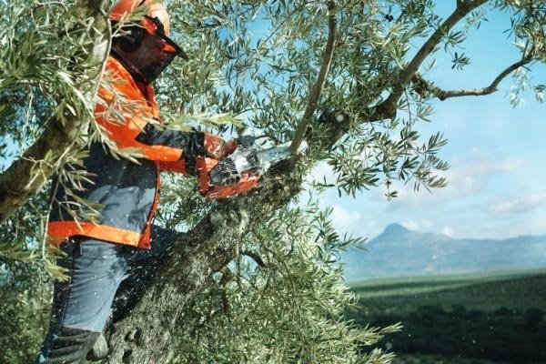 Бензопила Husqvarna T435