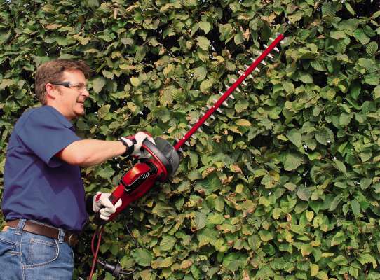 Кусторез электрический Einhell GC-EH 6055/1