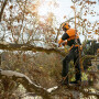 Бензопила STIHL MS 151 TC-E