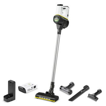 Аккумуляторный пылесос Karcher VC 6 Cordless ourFamily Battery Plus