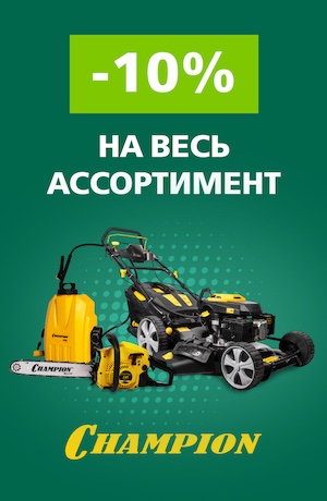 -10 Champion (мобилка)